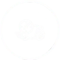 custom delivery logo
